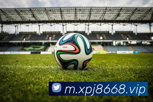 奖项证书